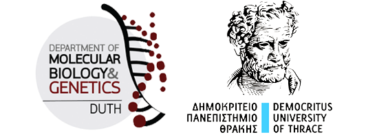 Department of TEST- D.U.TH.