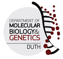 Department of TEST- D.U.TH.